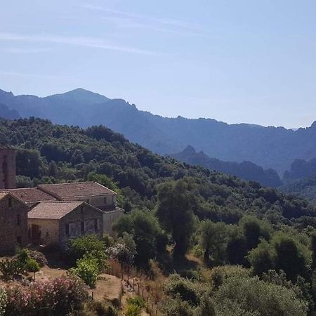 Maison Typique En Plein Coeur De Village Arbori Buitenkant foto